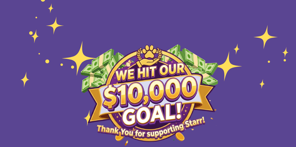 We Hit Our $10,000 Goal! Thank you!