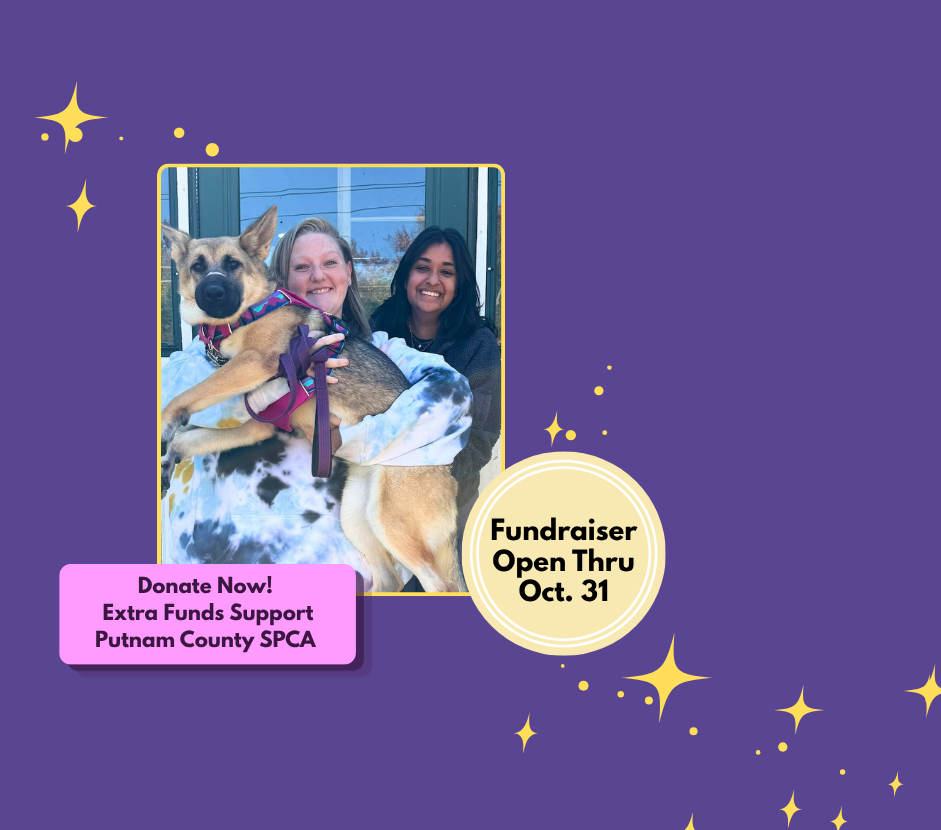 Fundraiser Thru Oct 31st