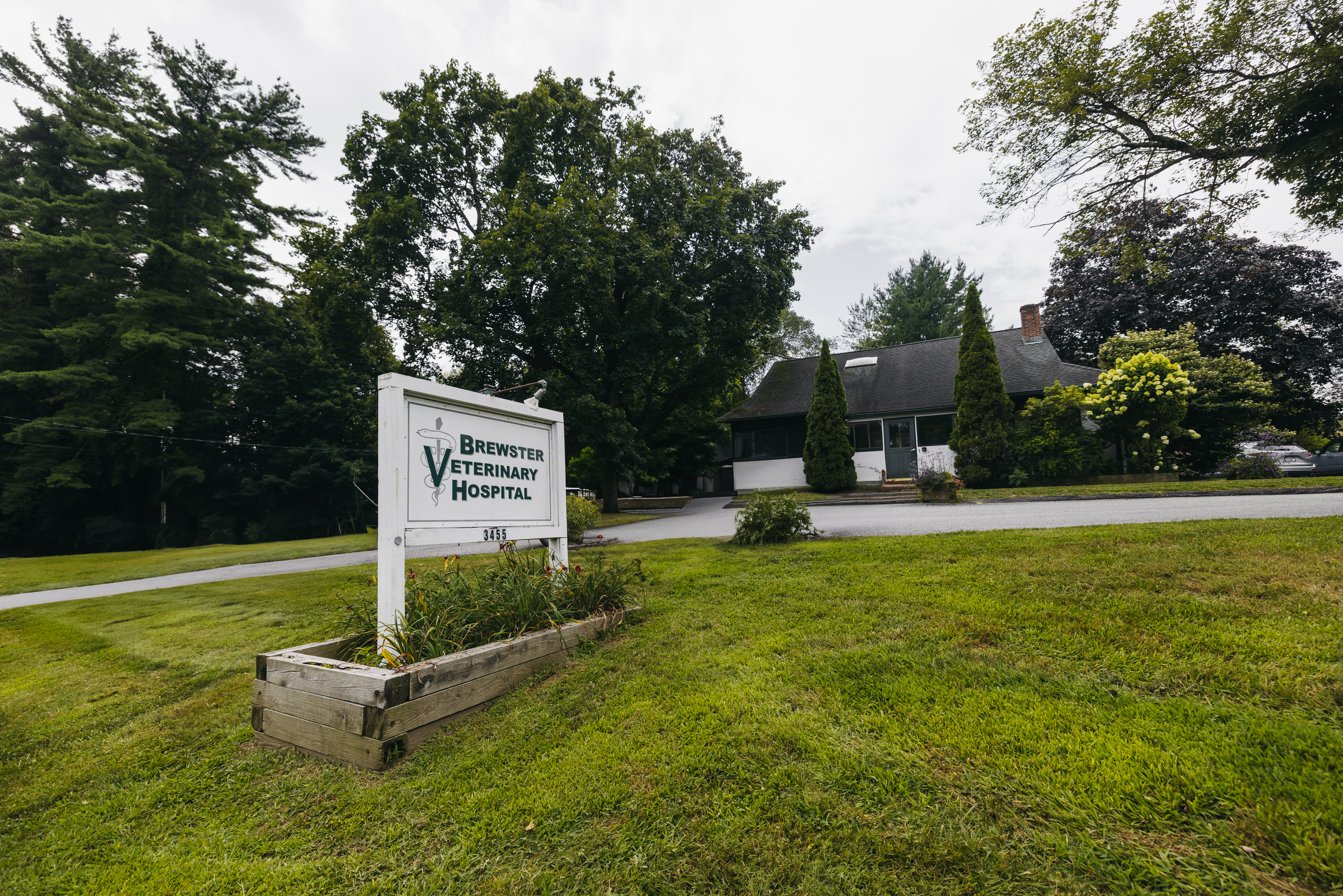 BVH